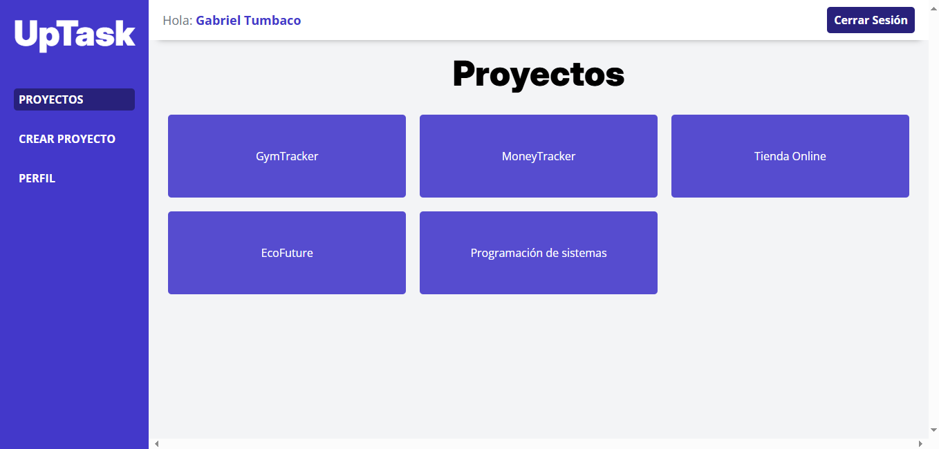 Vista previa del Proyecto 2